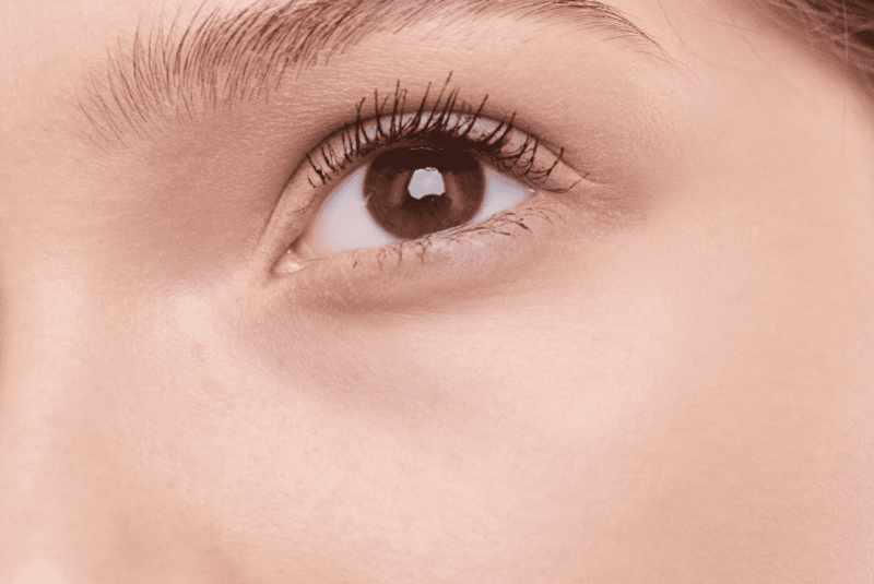 e74aad1b-b018-411d-92c8-d529dc10772f